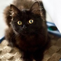 Photo of 💖 Mavis 💖