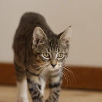 Photo of 💖Sage💖