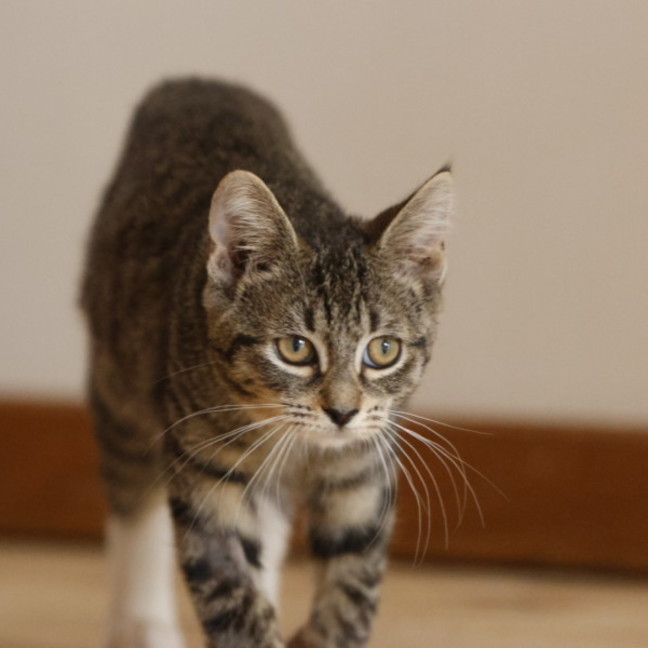 Photo of 💖Sage💖