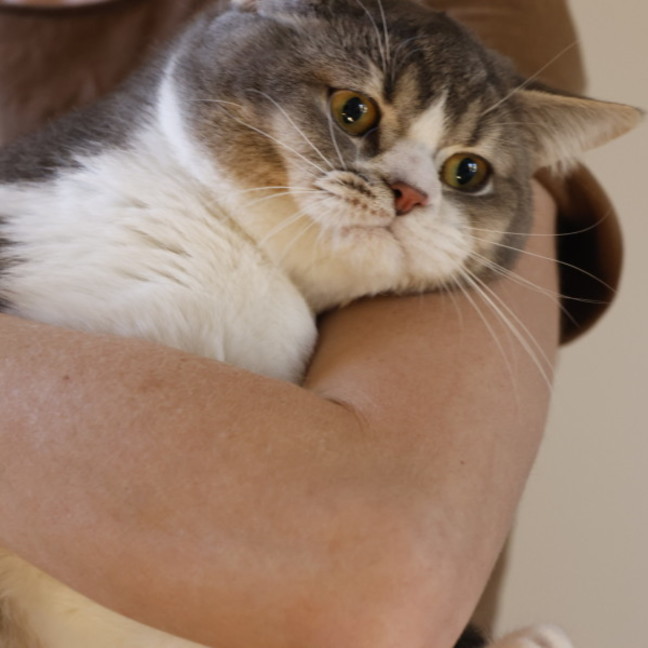 Photo of Fluffy And Mano