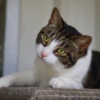 Photo of 💛 Phoebe 💛