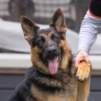 Photo of Riot