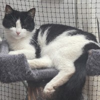 Photo of 🤍  Hannah Banana ❤︎