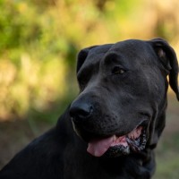 Photo of Ammy