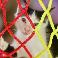 Photo of 🐭 Mickey 🐭