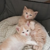 Photo of Freddie & Georgie