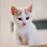 Photo of 💙 Orlando 💙