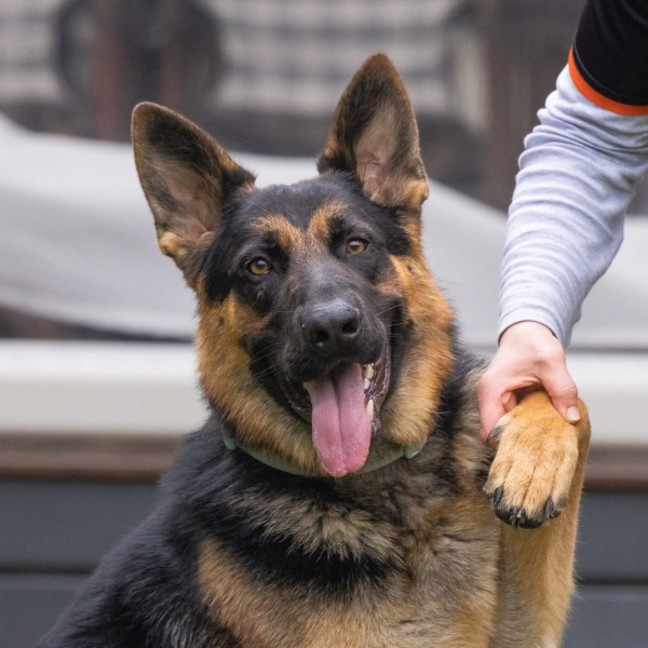Photo of Riot