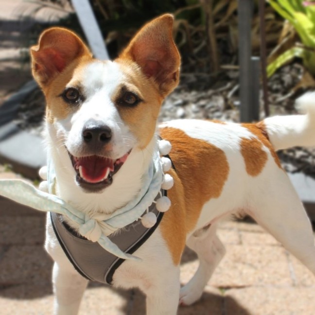 Photo of Max