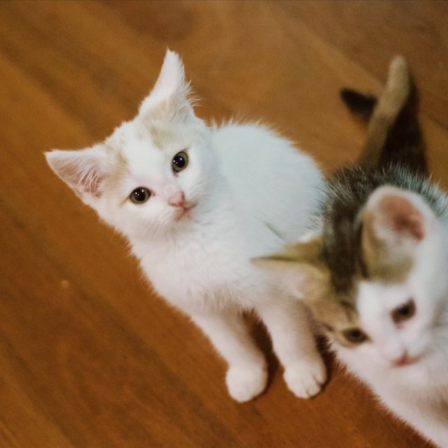 Photo of 💙 Orlando 💙