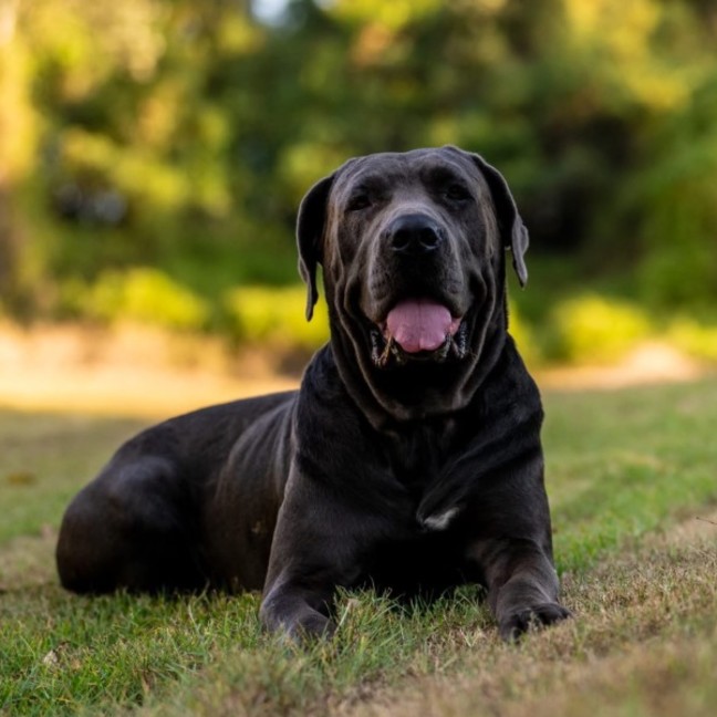 Photo of Ammy