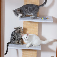 Photo of Thelma, Louise And/Or Clyde