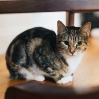 Photo of Charlotte