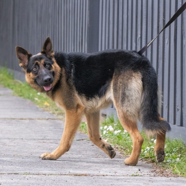 Photo of Riot