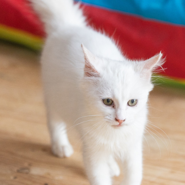 Photo of Thelma
