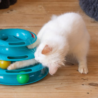 Photo of Thelma