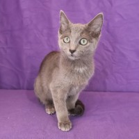 Photo of Cosette