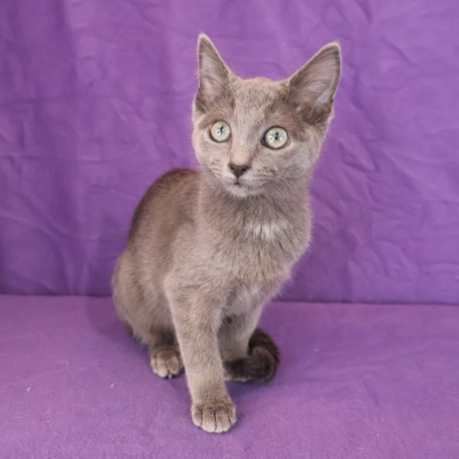 Photo of Cosette