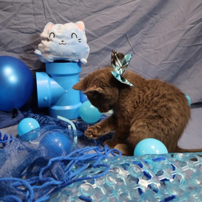 Photo of Neutron