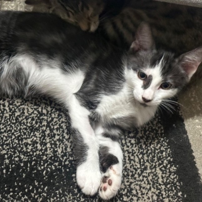 Photo of Kaleb 🧵😻