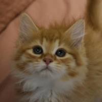 Photo of Elsa