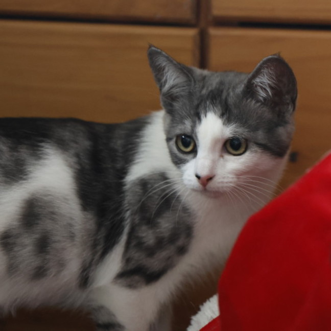 Photo of  Ranger 📣