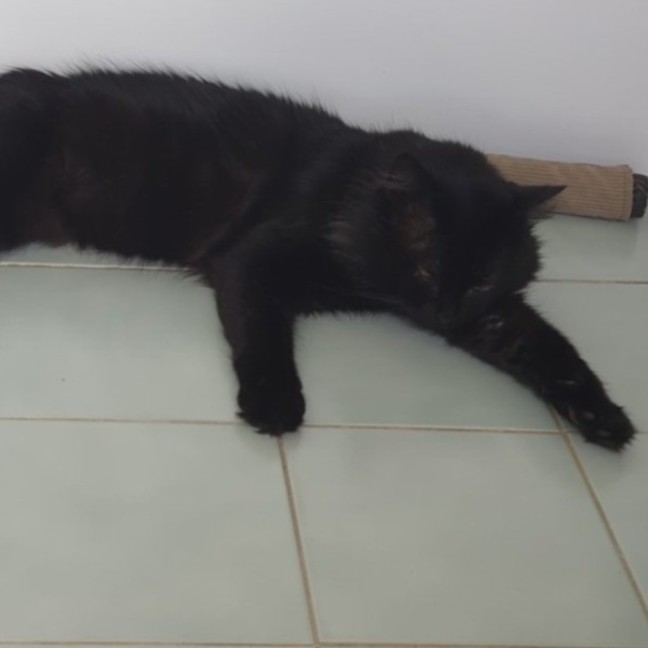 Photo of Big Boy