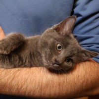 Photo of Neutron