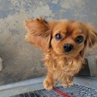 Photo of Molly & Milly