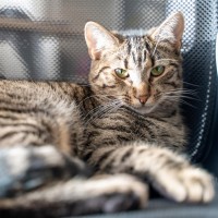 Photo of Eva   Located In Preston