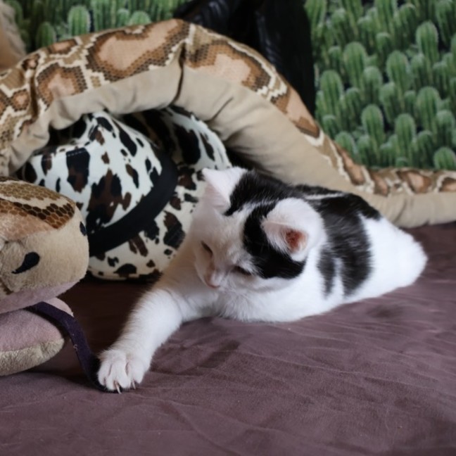 Photo of Calamity Jane
