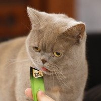 Photo of Lila