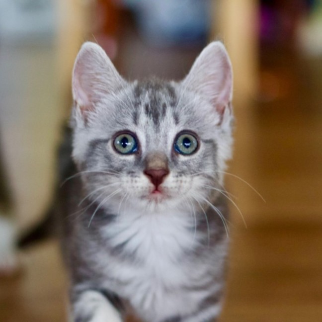 Photo of 🥜 Peanut Butter 🥜