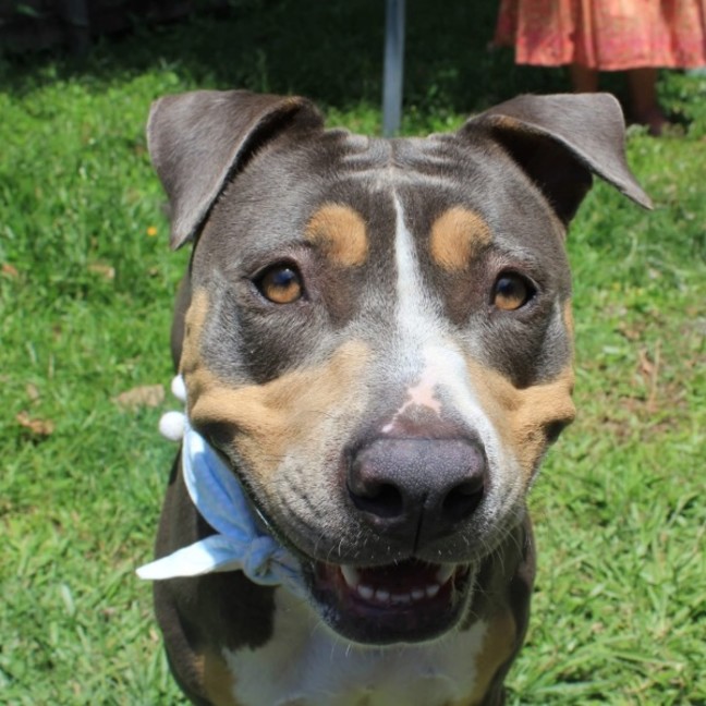 Photo of Mj (Martha Jane)