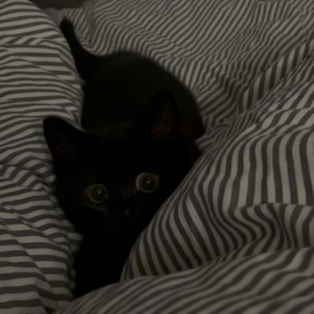 Photo of Spud