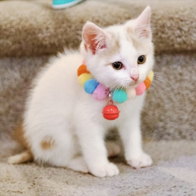 Photo of 💙 Orlando 💙