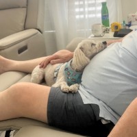 Photo of George 🐶🎾