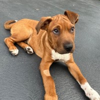 Photo of Hurley