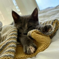Photo of Maeve 