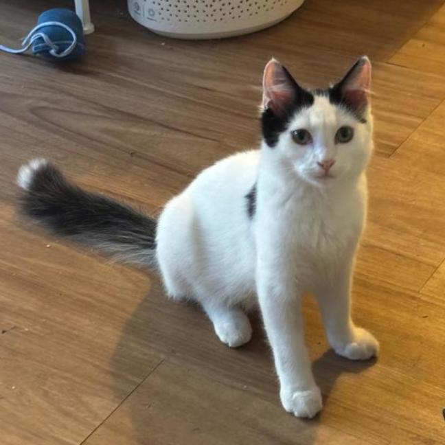 Photo of Hugh And Imogen 