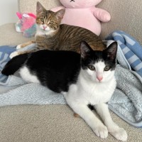 Photo of Lemme & Evie