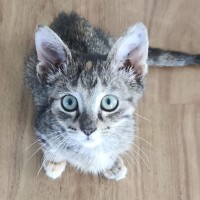 Photo of Monica