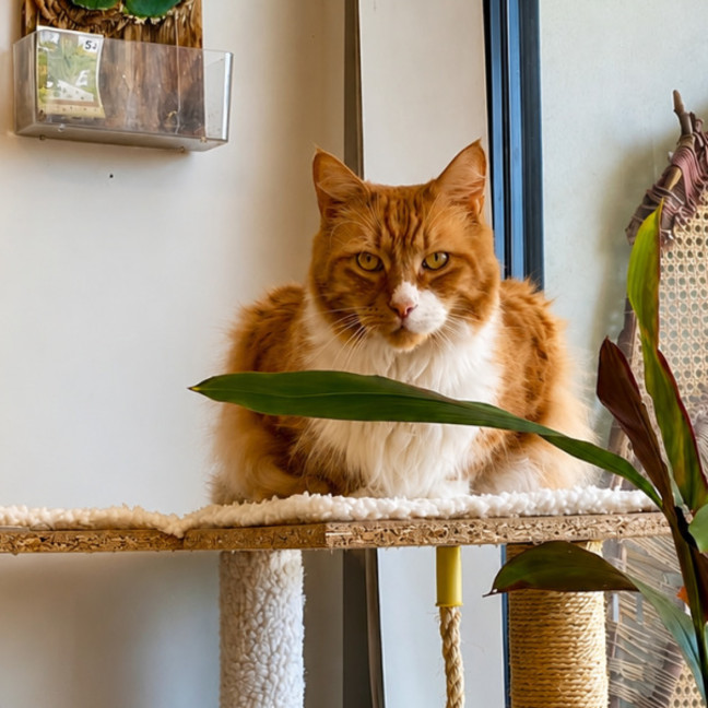 Photo of Pablo