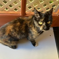 Photo of Zoe
