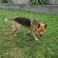 Photo of Lucy