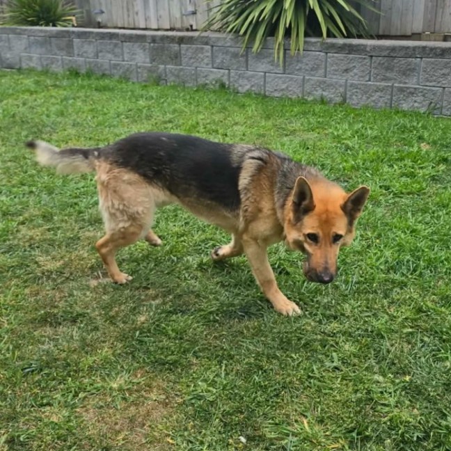 Photo of Lucy