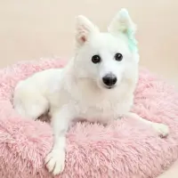 Photo of Nancy