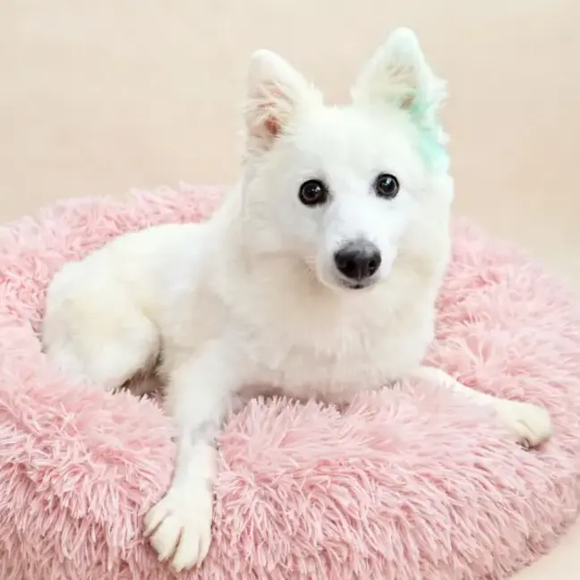 Photo of Nancy