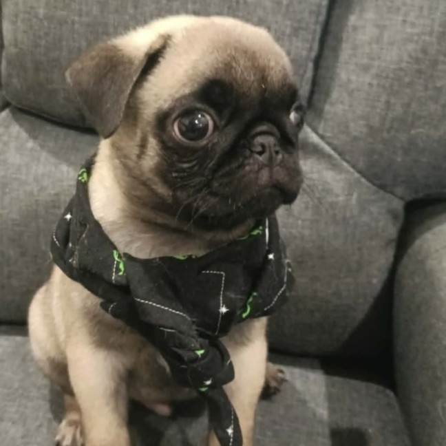 Photo of Harold