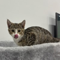 Photo of Clara